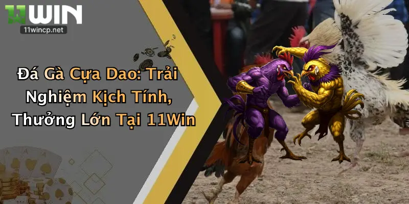 Đá Gà Cựa Dao: Trải Nghiệm Kịch Tính, Thưởng Lớn Tại 11Win 3 Đá Gà Cựa Dao: Trải Nghiệm Kịch Tính, Thưởng Lớn Tại 11Win