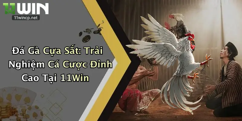 Đá Gà Cựa Sắt: Trải Nghiệm Cá Cược Đỉnh Cao Tại 11Win 5 Đá Gà Cựa Sắt: Trải Nghiệm Cá Cược Đỉnh Cao Tại 11Win