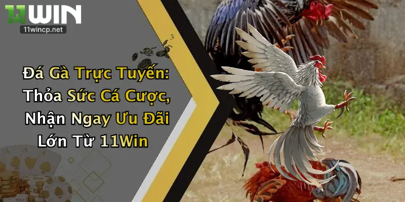 Đá Gà Trực Tuyến: Thỏa Sức Cá Cược, Nhận Ngay Ưu Đãi Lớn Từ 11Win 2 Đá Gà Trực Tuyến: Thỏa Sức Cá Cược, Nhận Ngay Ưu Đãi Lớn Từ 11Win
