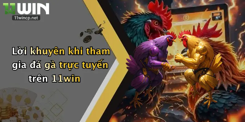 Đá Gà Trực Tuyến: Thỏa Sức Cá Cược, Nhận Ngay Ưu Đãi Lớn Từ 11Win 5 Lời khuyên khi tham gia đá gà trực tuyến trên 11win