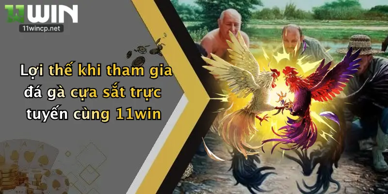 Đá Gà Cựa Sắt: Trải Nghiệm Cá Cược Đỉnh Cao Tại 11Win 5 Lợi thế khi tham gia đá gà cựa sắt trực tuyến cùng 11win