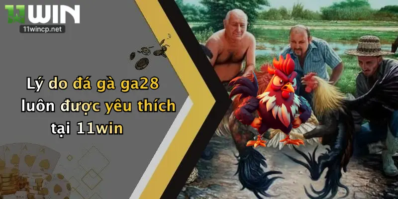 Đá Gà GA28: Thỏa Đam Mê Cá Cược Đỉnh Cao Cùng 11Win 5 Lý do đá gà ga28 luôn được yêu thích tại 11win