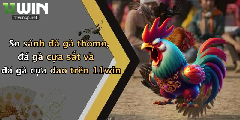 Đá Gà Trực Tuyến: Thỏa Sức Cá Cược, Nhận Ngay Ưu Đãi Lớn Từ 11Win 4 So sánh đá gà thomo, đá gà cựa sắt và đá gà cựa dao trên 11win