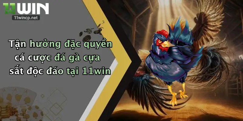 Đá Gà Cựa Sắt: Trải Nghiệm Cá Cược Đỉnh Cao Tại 11Win 4 Tận hưởng đặc quyền cá cược đá gà cựa sắt độc đáo tại 11win