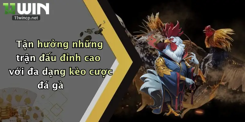 Đá Gà Cựa Dao: Trải Nghiệm Kịch Tính, Thưởng Lớn Tại 11Win 3 Tận hưởng những trận đấu đỉnh cao với đa dạng kèo cược đá gà