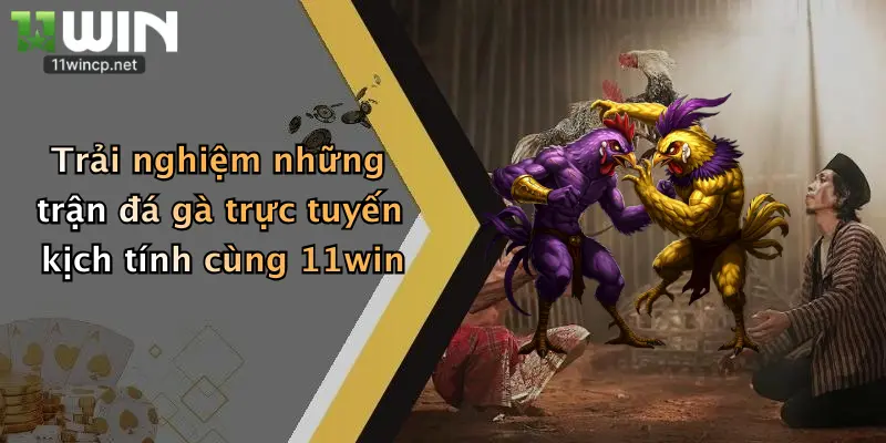 Đá Gà Trực Tuyến: Thỏa Sức Cá Cược, Nhận Ngay Ưu Đãi Lớn Từ 11Win 2 Trải nghiệm những trận đá gà trực tuyến kịch tính cùng 11win